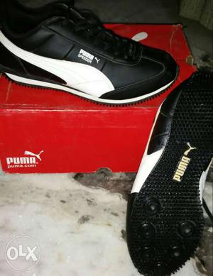 Brand-Puma(Pair Of Black-and-white Puma Sneakers On Box)