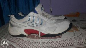Good lookig adidas Shoes no 11