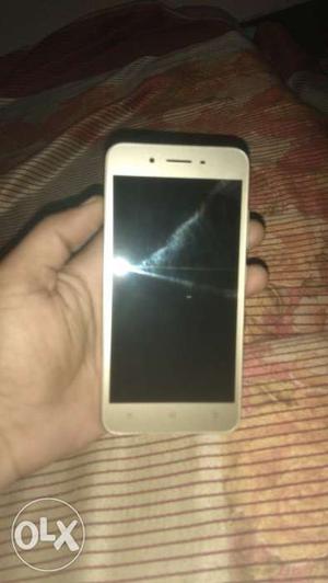 Vivo y53 new condition new phone but only phone