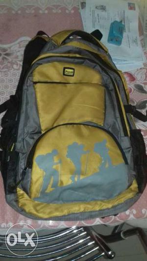 Yellow, Gray, And Black Backpack