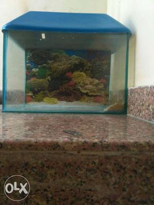 3 month used Aquarium size "