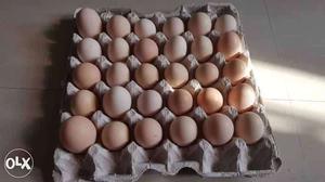 30 Naatukodi eggs for 300 rupees. Fixed price.