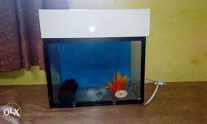 5 month old Fish tank for sale