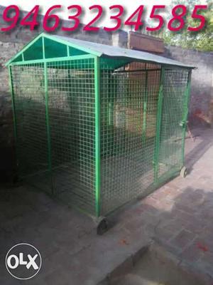 6y5 iron cage