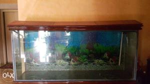 Big Aquarium For Cheap Price Great Offer (Negotiable)