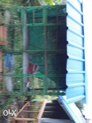 Birds cage size 6ft length and2ft width cheap rate