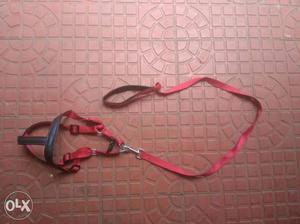 Body belt for dog..original *9