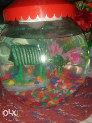 Fish bowl with home moter n color Stone new