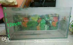 Fish tank aquarium