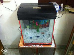 Fish tank for sale