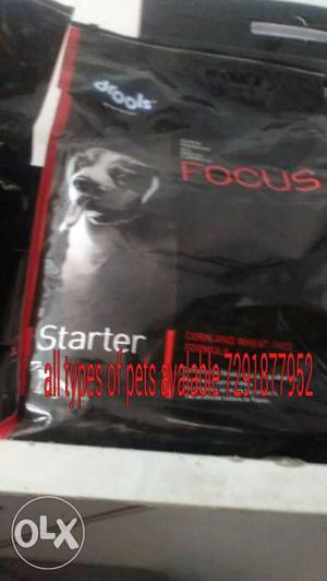 Focus Starter Pack