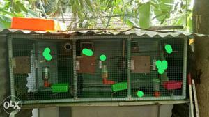 Green And Silver 3 Door Bird Cages