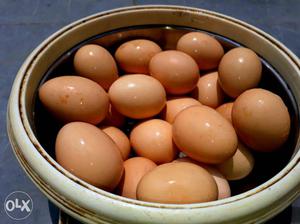 Kadaknath 16 eggs urgent sale