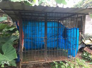 Large Dog cage for sale