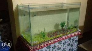 Only aquarium n stones size 43 inches length 24