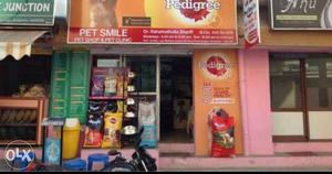 Pet smile contact me All in one