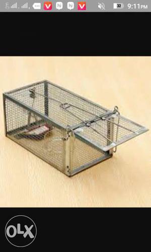 Stainless Steel Animal Trap