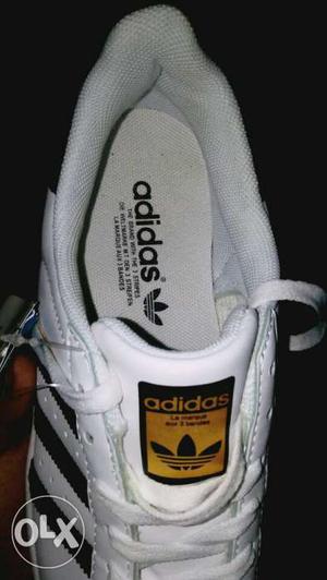 White And Black Adidas Superstar 2 pc