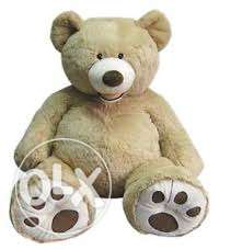 Big size Teddy bear at 600 SALE Final price