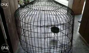 Black Mesh Birdcage