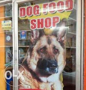Dog Food Shop Facade
