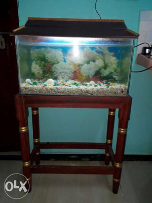 Fish tank with stand and all required items..