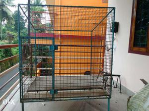 Green Metal Dog Cage