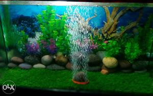 Indian Fish Aquarium for sell with all Accessories