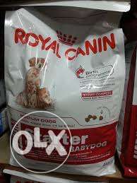 Royal canin stater dog food for sell