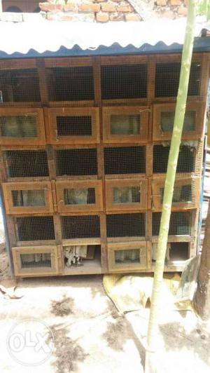 Used bird cage for sale