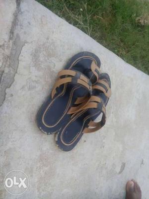 Blue-and-brown Toe-loop Flat Sandals