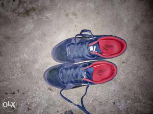 Blue-and-red Puma Low-top Shoes
