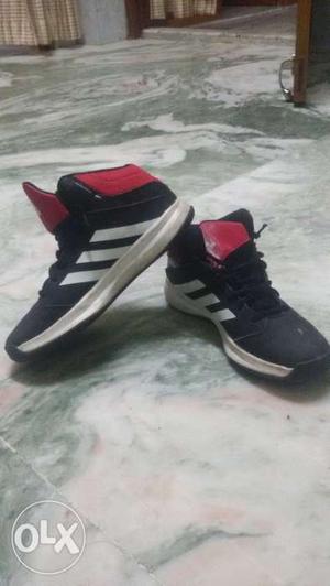 Adidas black basketball shoes size 5