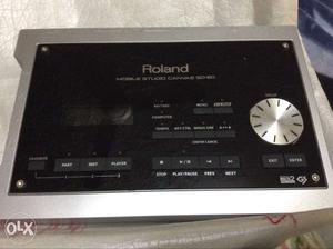 Gray And Black Roland Car Stereo