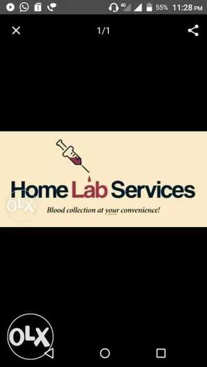 Home Lab Service Screenshot