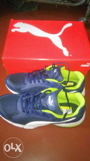 Pair Of Blue-and-green Puma Running Shoes With Box