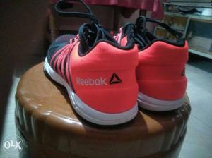 REEBOK Running Shoe Size-5 All new