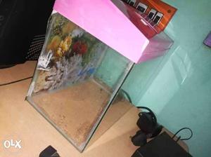 1 foot by 10 inch aquarium with top cover and