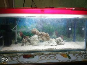 2.5ft Aquarium with Cover Only ₹