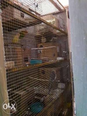 A good quality breeding cage with breeding box 12 variant