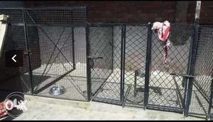 Big dog kennel cages set of 7 at very low price