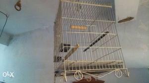 Birds cage it's new size:2/2