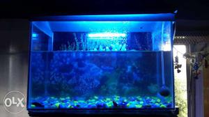 Black Frame Fish Tank
