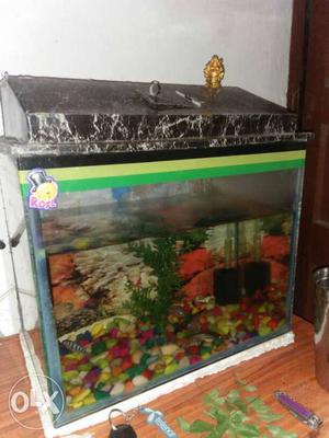 Black Metal-framed Fish Tank