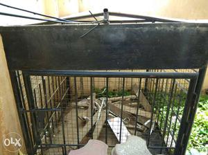 Black colour dog cage heavy build