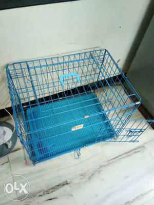 Blue Metal Folding Dog Crate bought 5 months back for 3.5k