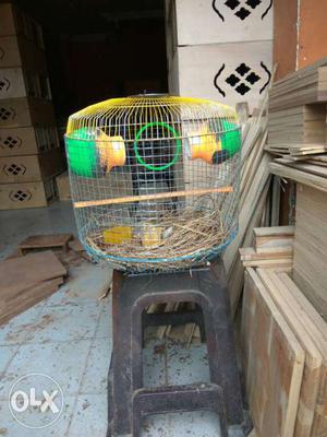 Cage for small birds for sell