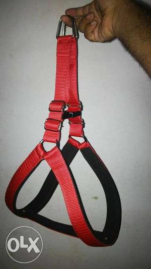 Dog body harness 1"