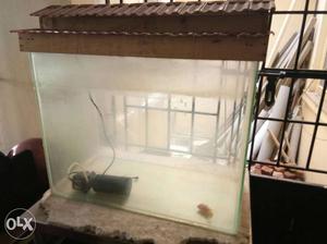 Fish Tank with Oxygen Sale