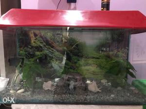Fish aquarium with light, heater and oxygen